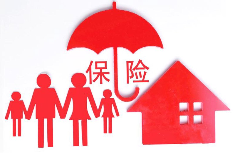 生存保险是什么